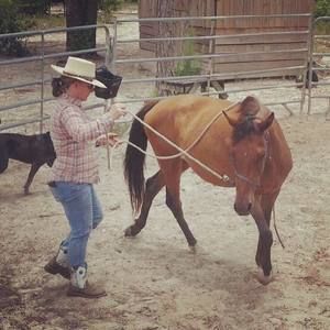 Meet your Posher, Luzette