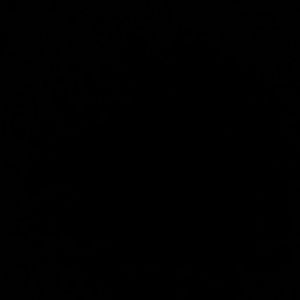 Meet your Posher, Savannah