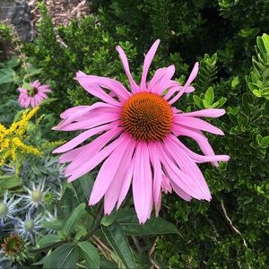 Meet your Posher, Kaylee