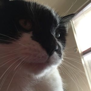 Meet your Posher, Bobbie