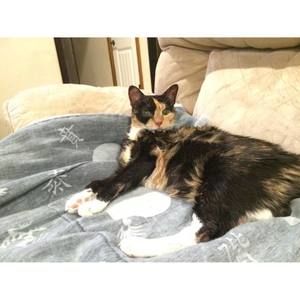 Meet your Posher, Tasha