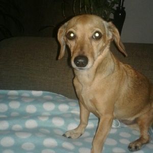 Meet your Posher, Carolyn