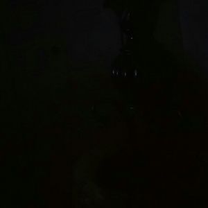 Meet your Posher, Bonita