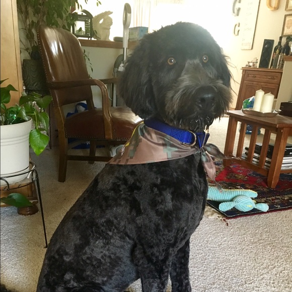 Meet your Posher, Emily - Picture 1 of 1