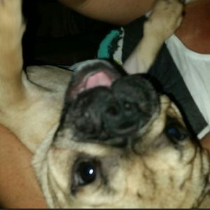 Meet your Posher, Missy