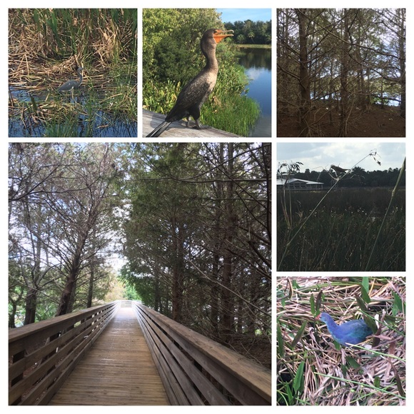 Meet your Posher, Amanda - Picture 5 of 5