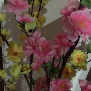 Meet your Posher, Daisy