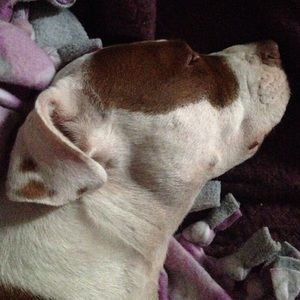 Meet your Posher, Tina