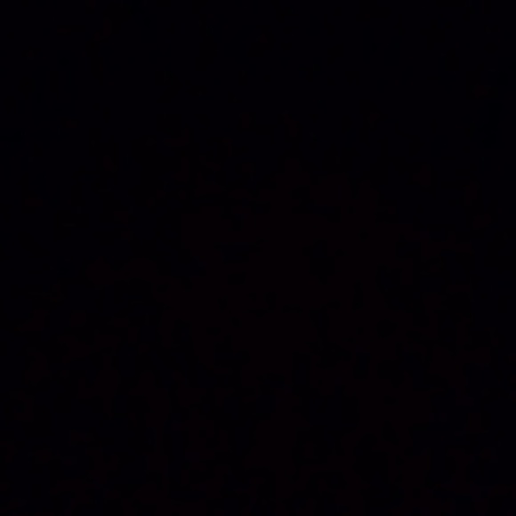 Meet your Posher, Sean - Picture 1 of 1