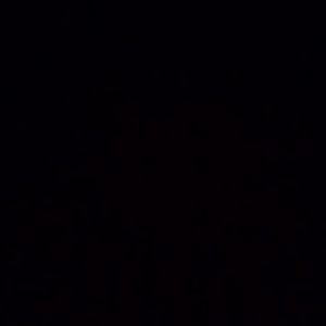 Meet your Posher, Sean