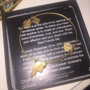 Alex and Ani Best charm