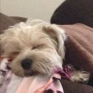 Meet your Posher, Sandra