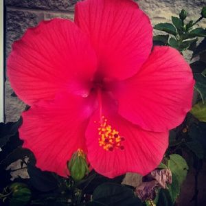 Meet your Posher, Sierra