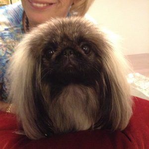 Meet your Posher, Joan