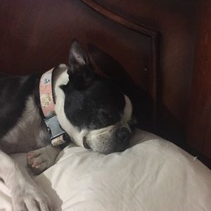 Meet your Posher, Fluvia