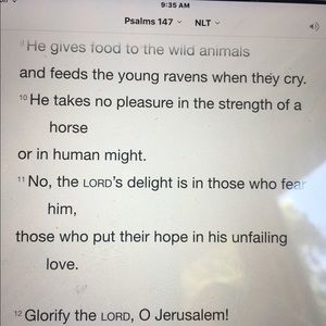 Meet your Posher, Beth