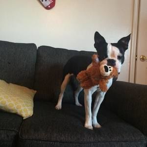 Meet your Posher, Kevin