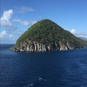 Meet your Posher, Adrienne