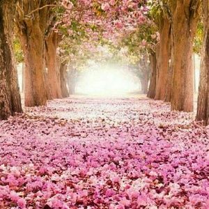 Meet your Posher, Nora