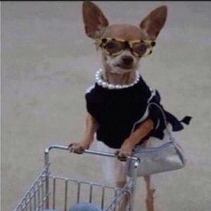 Meet your Posher, Kelly