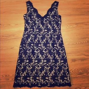 Ann Taylor Navy Lace Dress