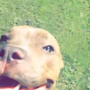 Meet your Posher, Araceli