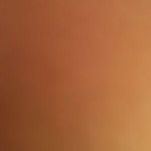 Meet your Posher, Jada