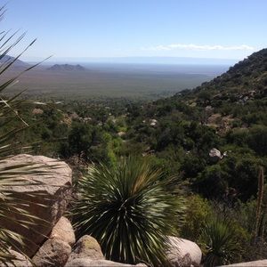 Meet your Posher, Annette