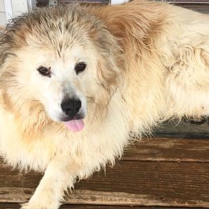 Meet your Posher, Anneclaire