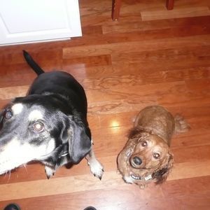 Meet your Posher, Tricia