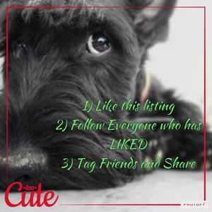 FOLLOW GAME!!!!