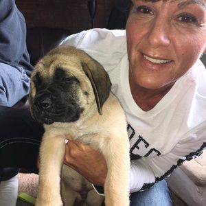 Meet your Posher, Doreen