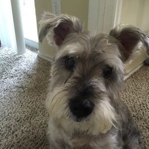 Meet your Posher, Brenda