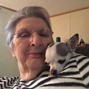 Meet your Posher, Katherine