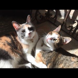 Meet your Posher, Donna