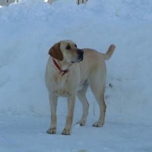 Meet your Posher, Kelly