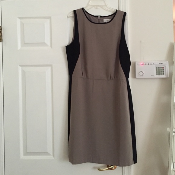 Ann Taylor Loft Dress