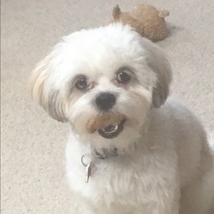 Meet your Posher, Christine