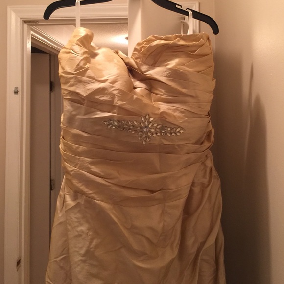 Champagne formal dress size 18/20 (2X)