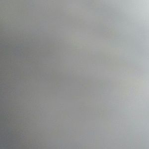 Meet your Posher, Ariel