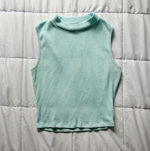 Mint Knit Turtleneck Crop