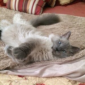 Meet your Posher, Deanna