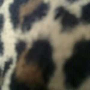 Meet your Posher, Ciara