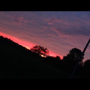 Meet your Posher, Elly