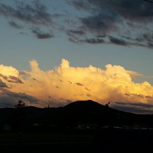 Meet your Posher, Rikki