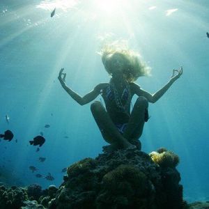 Meet your Posher, Galina