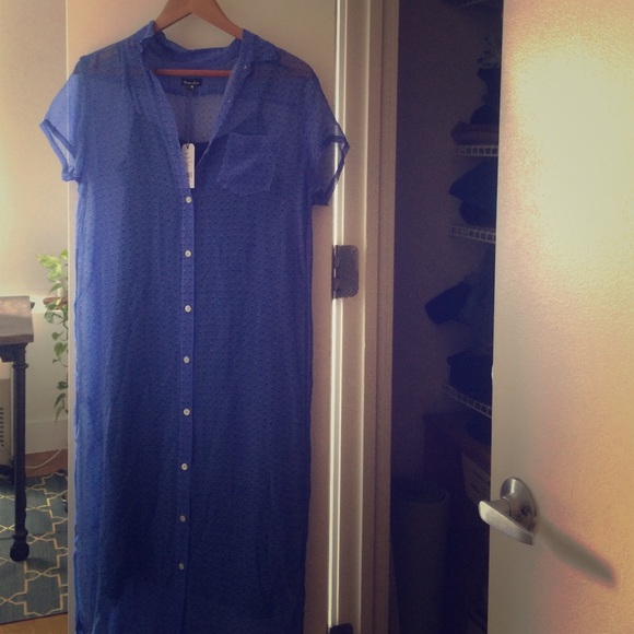 Steven Alan classic shirt dress