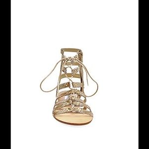 Steve Madden Sparra Metallic Gladiator Sandals NEW