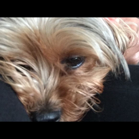 Meet your Posher, Crissy - Picture 1 of 1