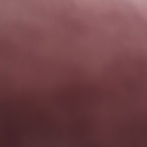 Meet your Posher, Kari